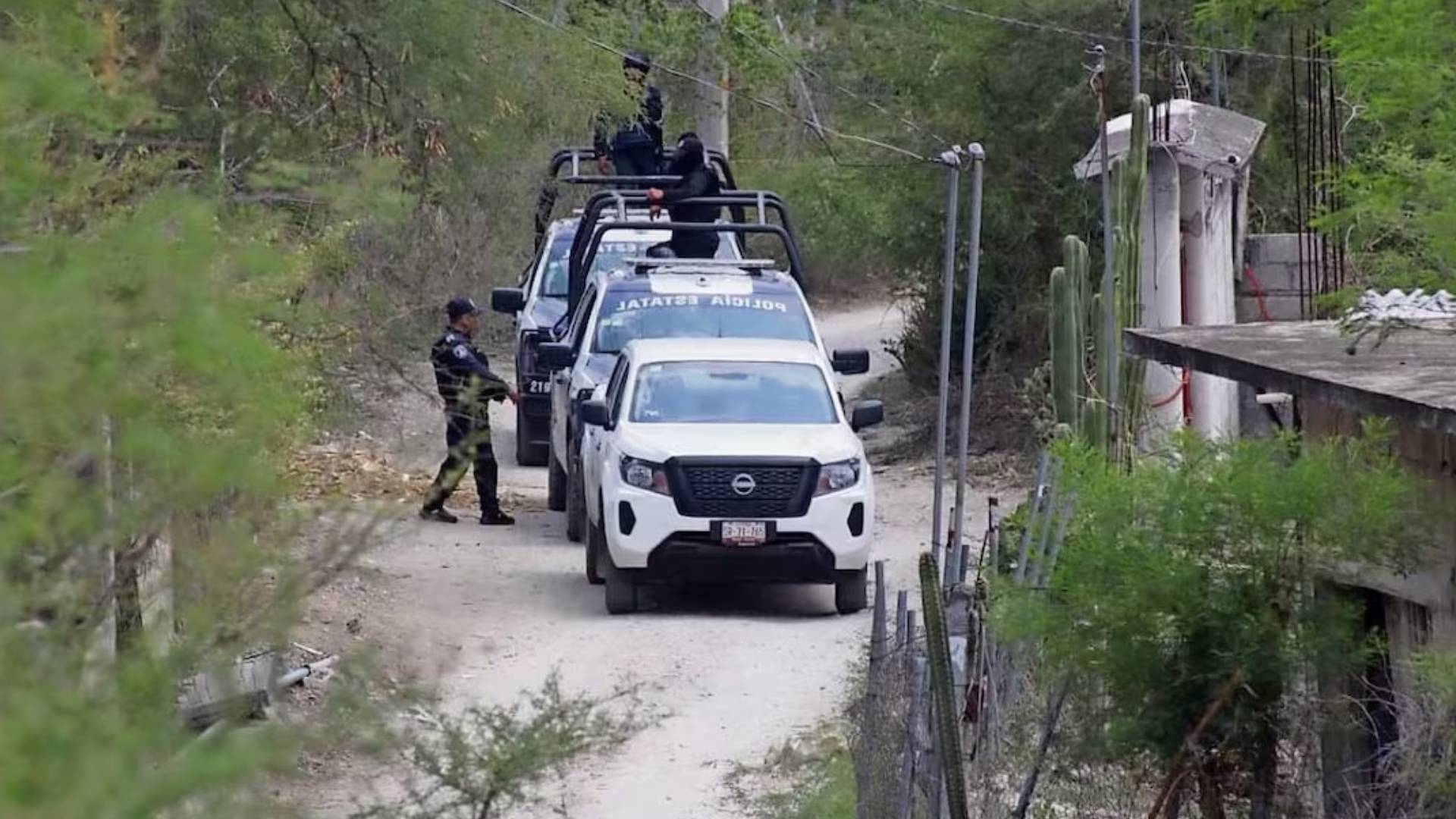 Joven habría masacrado a 10 integrantes de su familia