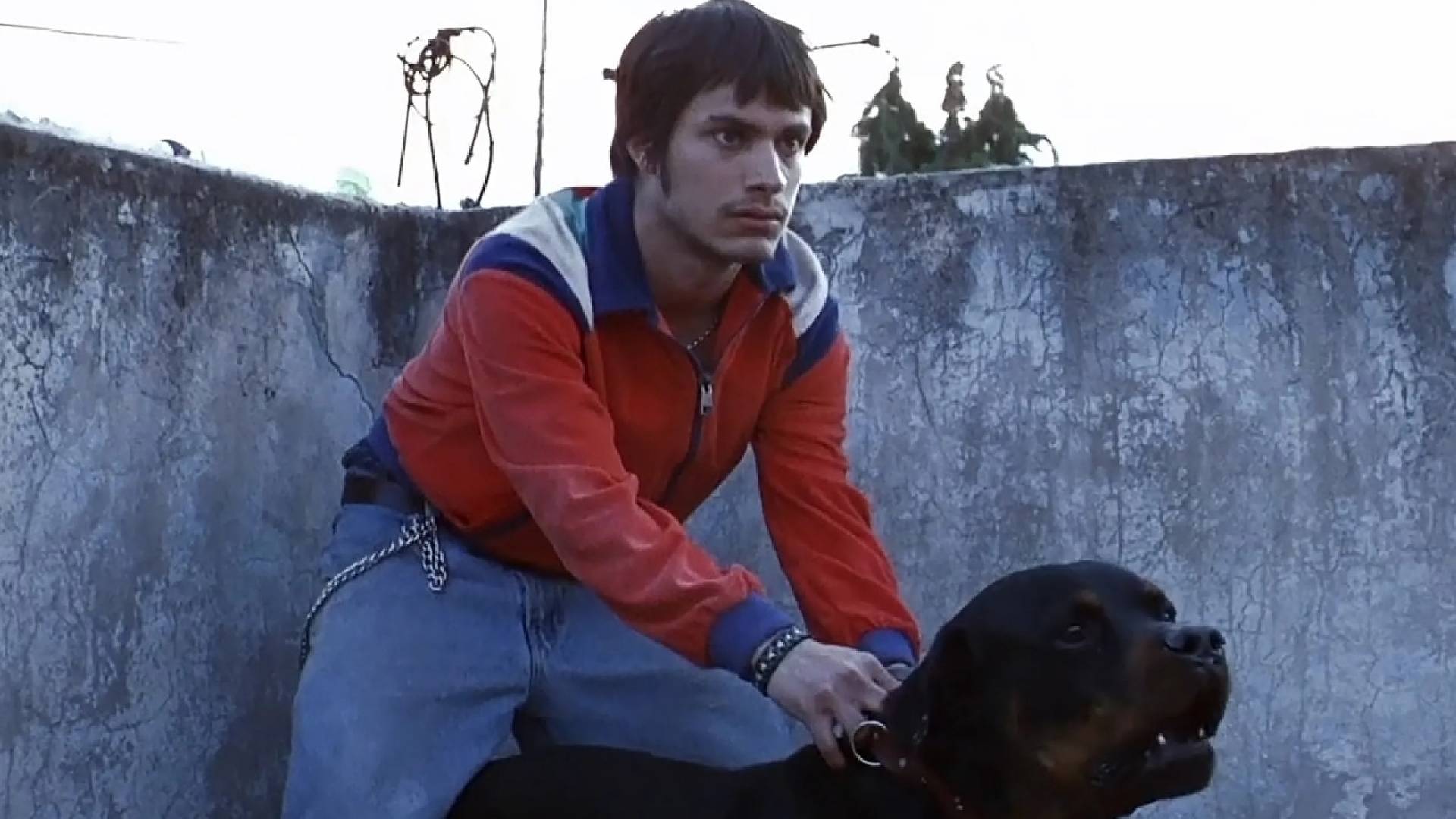 ‘Amores Perros’ regresa a la pantalla en formato de serie