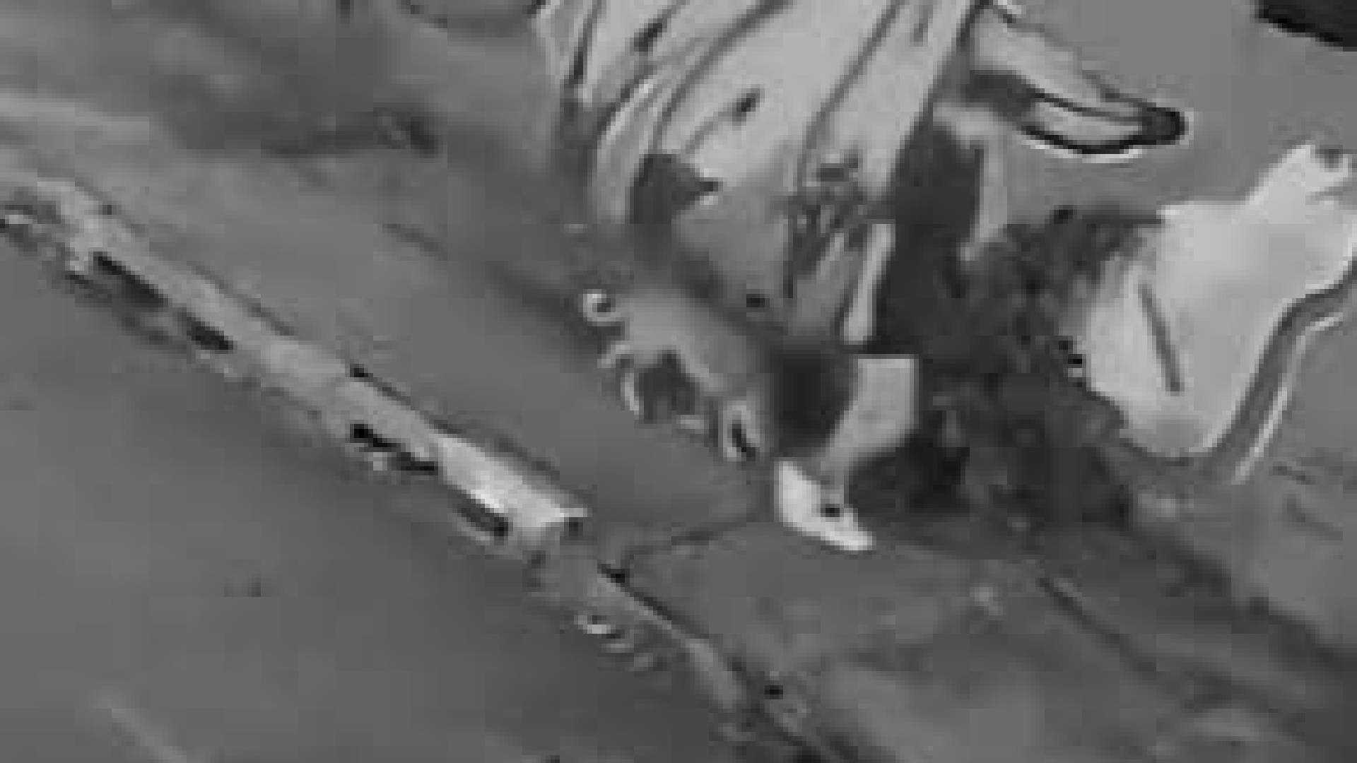 Joven cae a alcantarilla mientras paseaba a su perro