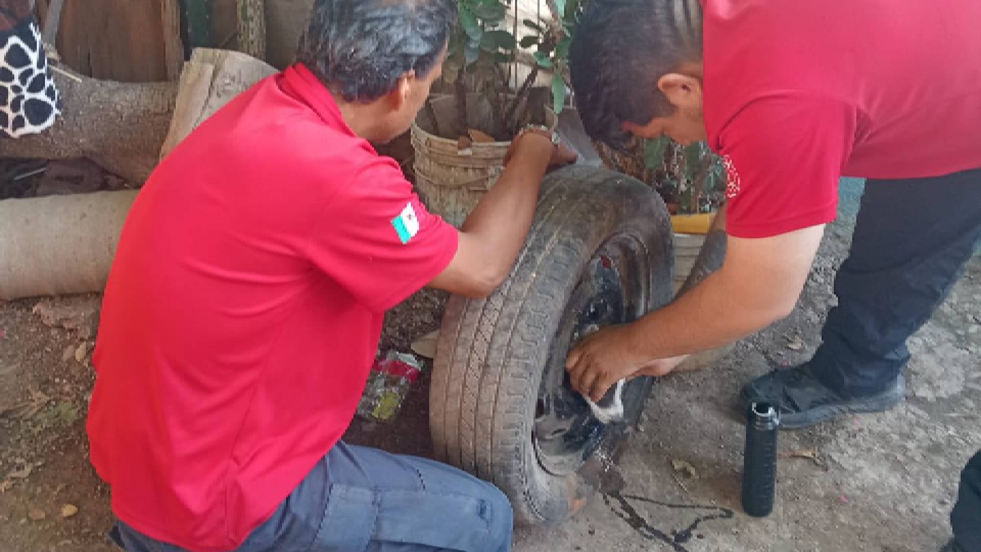 Rescatan a cachorro que quedó atrapado en una llanta en Victoria