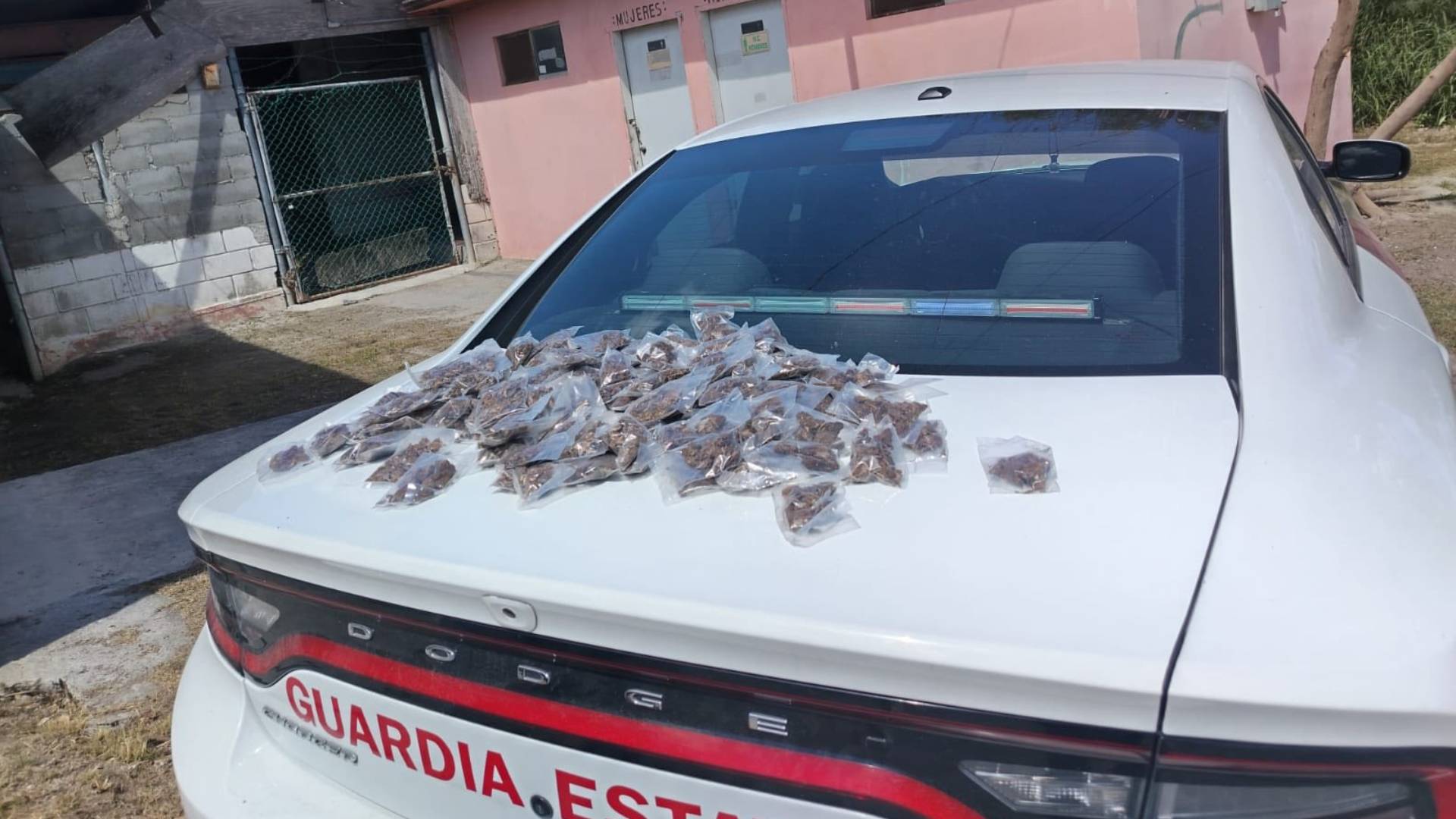 Aseguran 117 dosis de marihuana en Matamoros