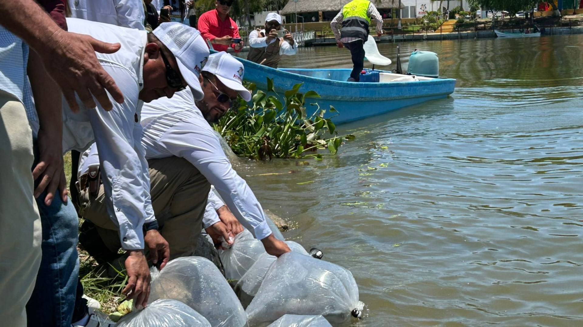 A dos años de la crisis hídrica, renace la vida en Champayán