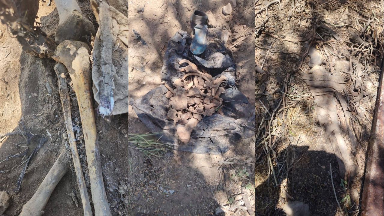 Descubren fosas y presuntas cocinas clandestinas en Miguel Alemán