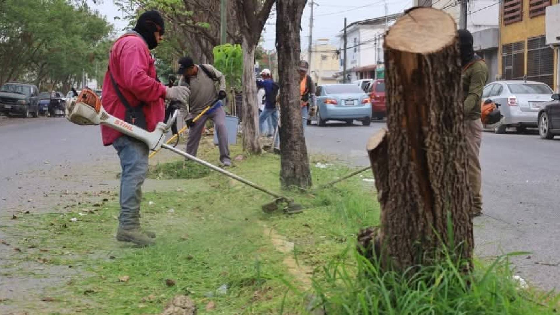 Refuerza Victoria limpieza y mantenimiento de espacios públicos