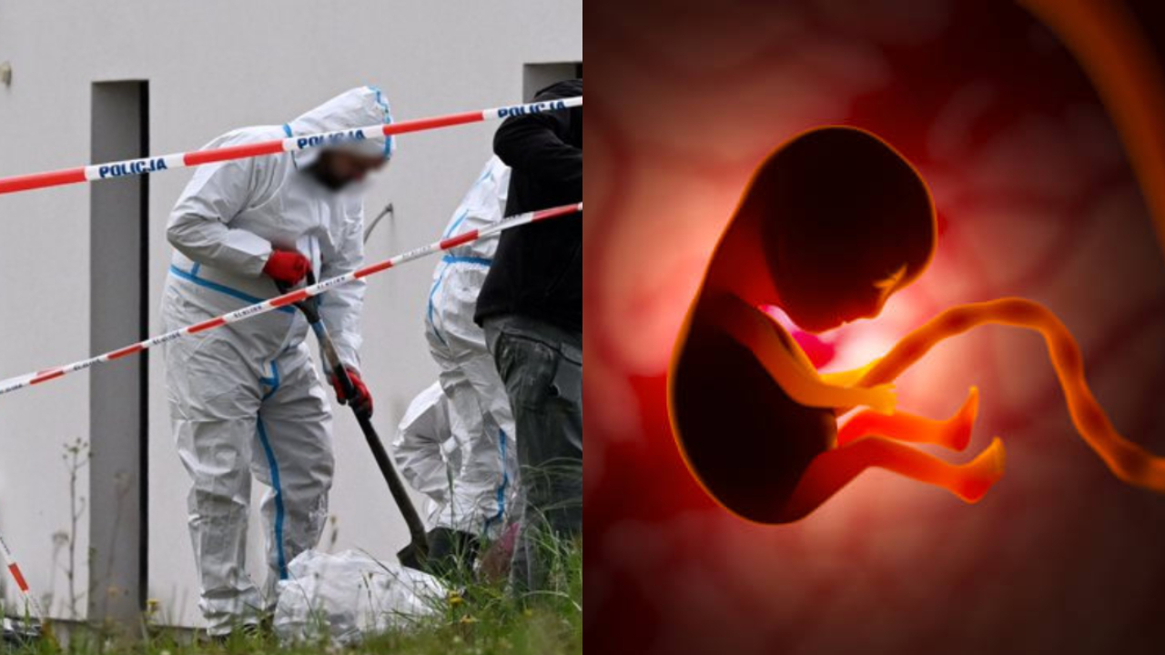 Hallan 34 fetos enterrados en jardín de una doctora