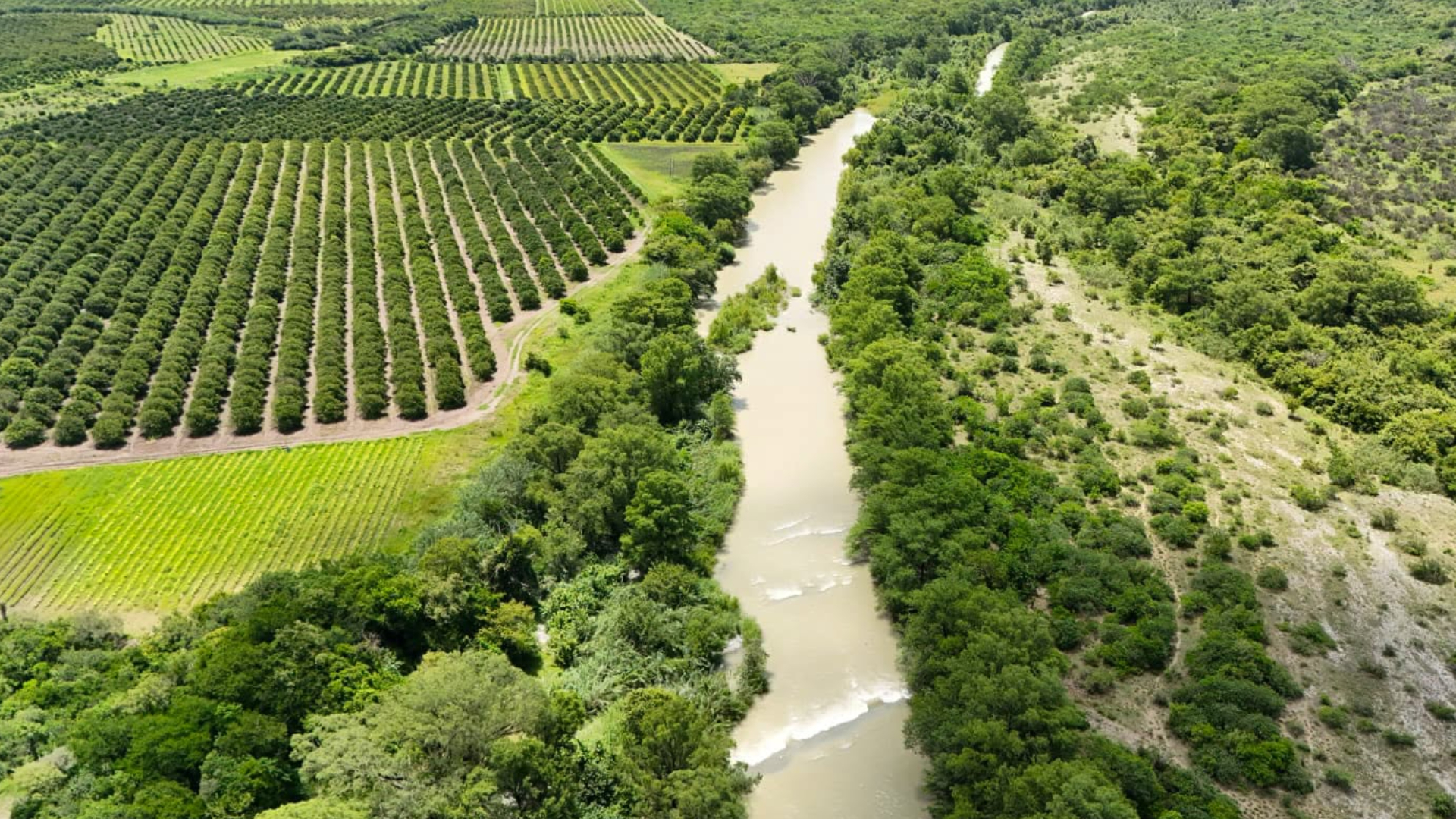 Detectan extracción ilegal de agua en río Guayalejo