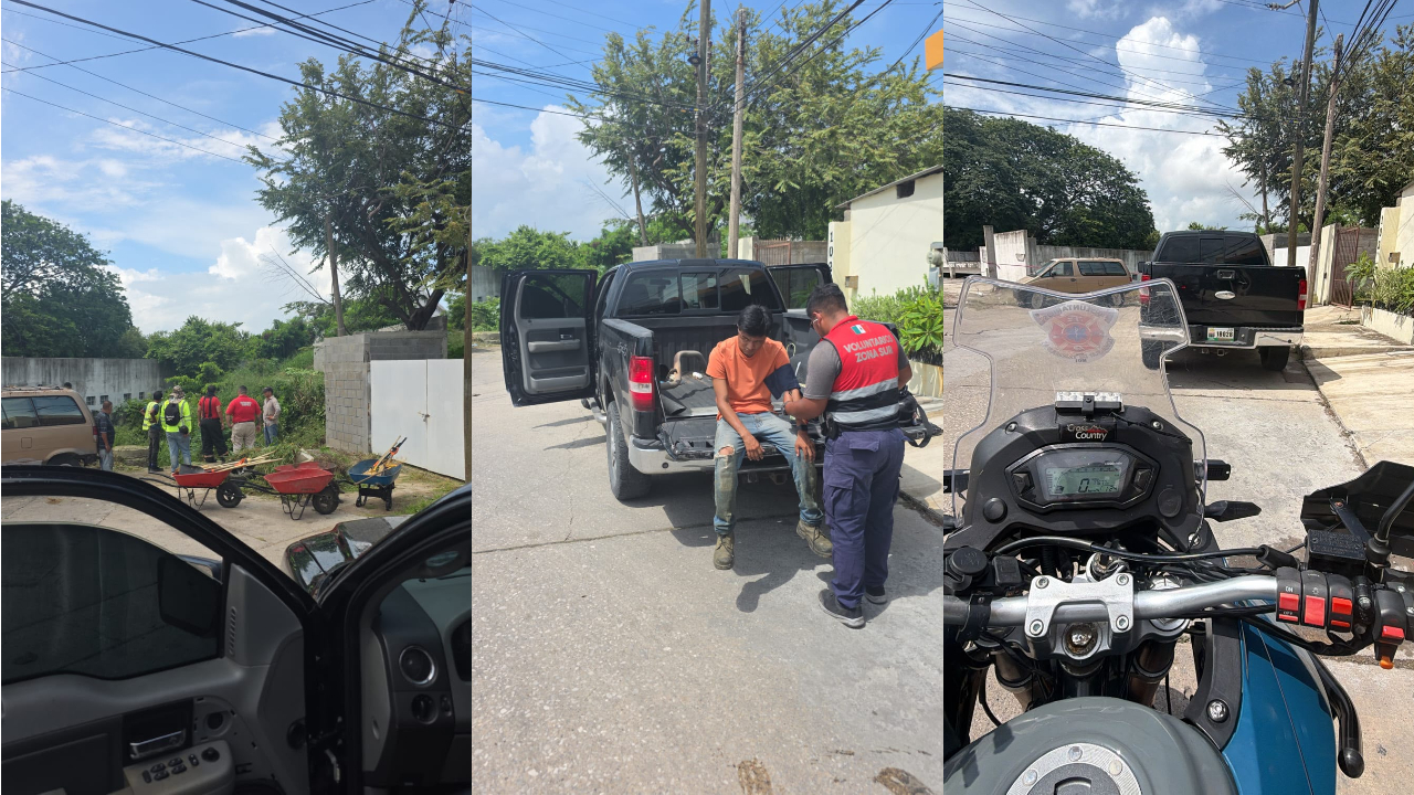 Enjambre de abejas ataca a trabajador del Ayuntamiento de Tampico