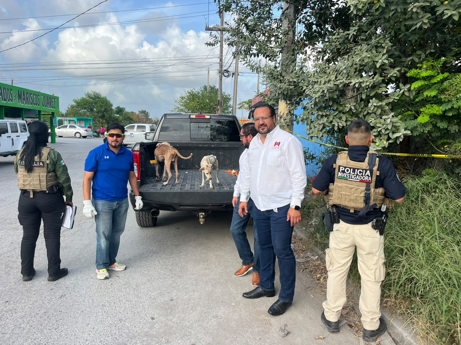 Rescatan a dos perros en condiciones de abandono en Matamoros