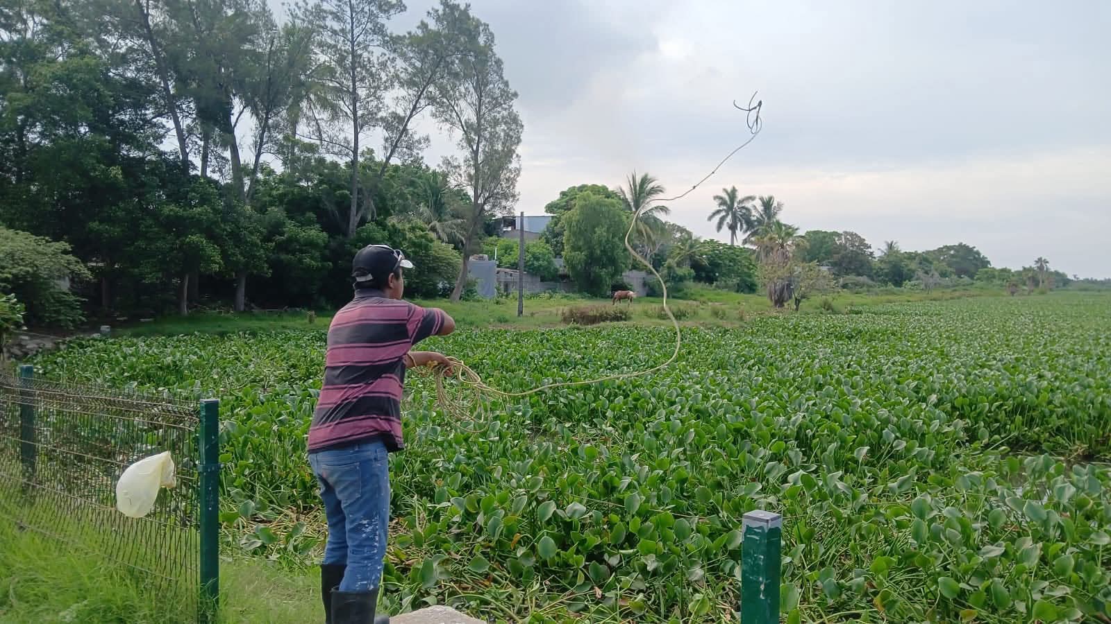 Retiran hasta 50 toneladas de desechos por semana de canales en Ciudad Madero