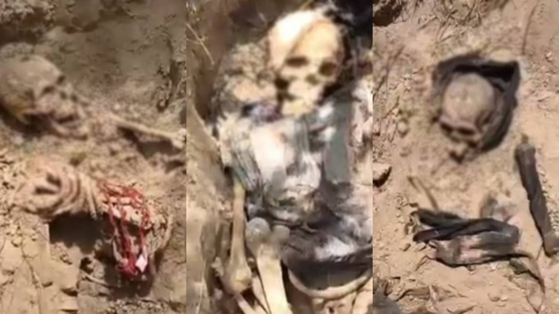 Encuentran siete fosas clandestinas en Miguel Alemán, Tamaulipas