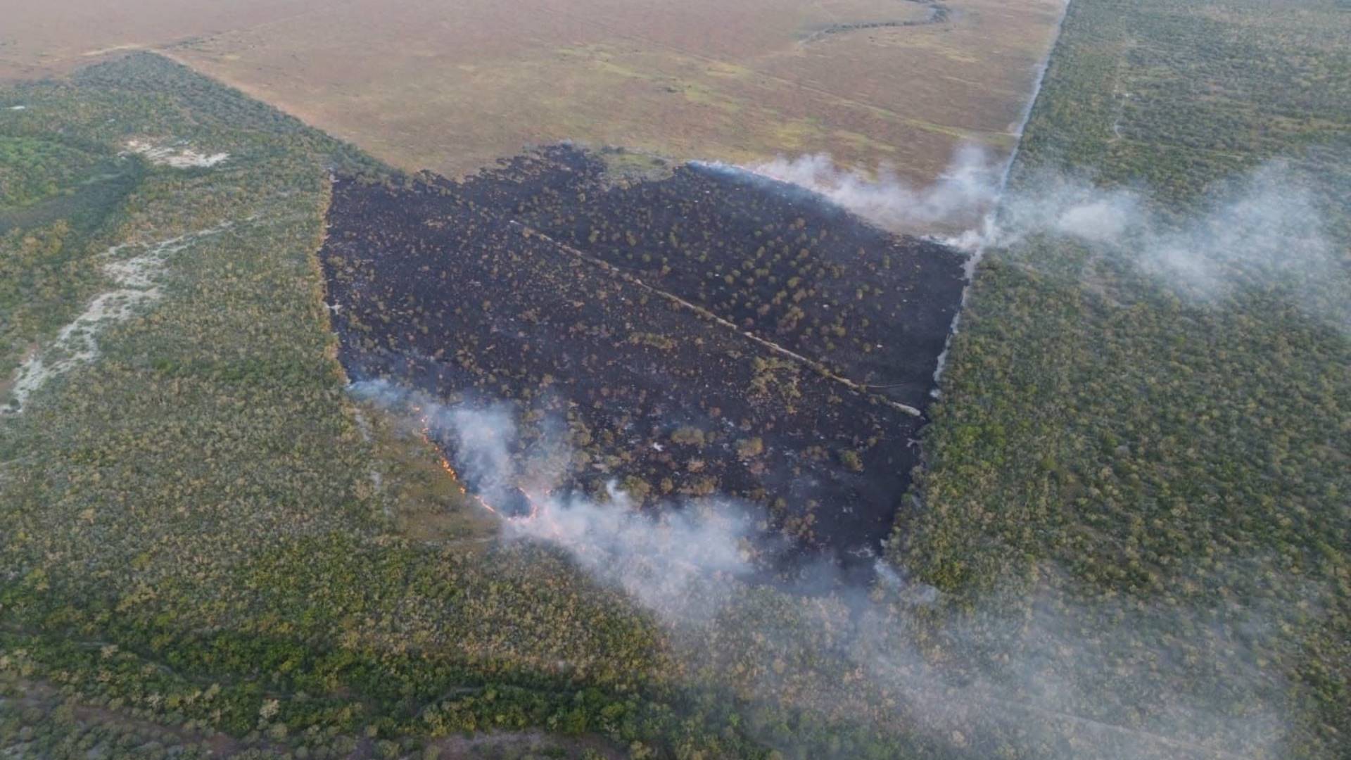 Controlan al 90% incendio cerca de la Presa Vicente Guerrero
